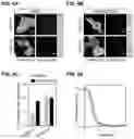 Fig. 08 - SPLIT PHOTOACTIVE YELLOW PROTEIN COMPLEMENTATION SYSTEM AND USES THEREOF