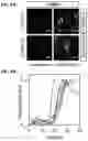 Fig. 12 - SPLIT PHOTOACTIVE YELLOW PROTEIN COMPLEMENTATION SYSTEM AND USES THEREOF