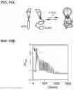 Fig. 16 - SPLIT PHOTOACTIVE YELLOW PROTEIN COMPLEMENTATION SYSTEM AND USES THEREOF