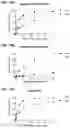 Fig. 18 - SPLIT PHOTOACTIVE YELLOW PROTEIN COMPLEMENTATION SYSTEM AND USES THEREOF