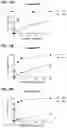Fig. 19 - SPLIT PHOTOACTIVE YELLOW PROTEIN COMPLEMENTATION SYSTEM AND USES THEREOF