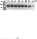 Fig. 08 - Msp nanopores and uses thereof