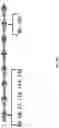 Fig. 14 - Msp nanopores and uses thereof
