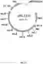 Fig. 15 - Msp nanopores and uses thereof