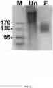 Fig. 17 - Msp nanopores and uses thereof