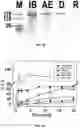 Fig. 22 - Msp nanopores and uses thereof
