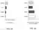 Fig. 05 - CHANNELRHODOPSINS FOR OPTICAL CONTROL OF CELLS