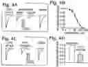 Fig. 03 - Treatment of ischemia