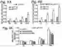 Fig. 07 - Treatment of ischemia