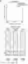 Fig. 03 - STAT3 TRANSCRIPTOME FOR DESIGNING MORE POTENT NK CELLS