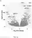 Fig. 13 - STAT3 TRANSCRIPTOME FOR DESIGNING MORE POTENT NK CELLS