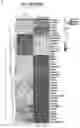 Fig. 15 - STAT3 TRANSCRIPTOME FOR DESIGNING MORE POTENT NK CELLS
