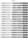 Fig. 02 - RECOMBINANT MILK PROTEINS AND FOOD COMPOSITIONS COMPRISING THE SAME