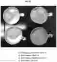 Fig. 25 - RECOMBINANT MILK PROTEINS AND FOOD COMPOSITIONS COMPRISING THE SAME