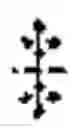 Fig. 02 - CHIMERIC ANTIGEN RECEPTOR T CELL THERAPY
