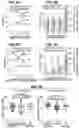 Fig. 08 - CHIMERIC ANTIGEN RECEPTOR T CELL THERAPY