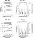 Fig. 09 - CHIMERIC ANTIGEN RECEPTOR T CELL THERAPY