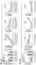 Fig. 12 - CHIMERIC ANTIGEN RECEPTOR T CELL THERAPY
