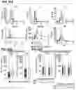 Fig. 127 - CHIMERIC ANTIGEN RECEPTOR T CELL THERAPY