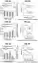 Fig. 15 - CHIMERIC ANTIGEN RECEPTOR T CELL THERAPY
