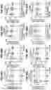 Fig. 165 - CHIMERIC ANTIGEN RECEPTOR T CELL THERAPY