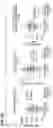 Fig. 204 - CHIMERIC ANTIGEN RECEPTOR T CELL THERAPY