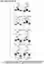 Fig. 52 - CHIMERIC ANTIGEN RECEPTOR T CELL THERAPY