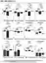 Fig. 56 - CHIMERIC ANTIGEN RECEPTOR T CELL THERAPY
