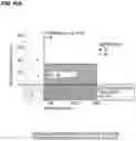 Fig. 99 - CHIMERIC ANTIGEN RECEPTOR T CELL THERAPY