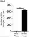 Fig. 04 - T CELL RECEPTORS AND METHODS OF USE THEREOF