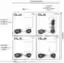 Fig. 06 - T CELL RECEPTORS AND METHODS OF USE THEREOF