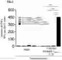 Fig. 07 - T CELL RECEPTORS AND METHODS OF USE THEREOF