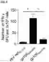Fig. 04 - T CELL RECEPTORS AND METHODS OF USE THEREOF