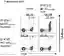Fig. 06 - T CELL RECEPTORS AND METHODS OF USE THEREOF