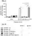 Fig. 08 - T CELL RECEPTORS AND METHODS OF USE THEREOF