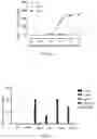 Fig. 07 - High-Affinity TCR for Recognizing AFP Antigen