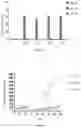 Fig. 08 - High-Affinity TCR for Recognizing AFP Antigen