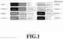 Fig. 02 - Compositions and Methods for Treating Cancer with DuoCARs