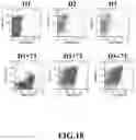 Fig. 19 - Compositions and Methods for Treating Cancer with DuoCARs