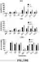 Fig. 21 - Compositions and Methods for Treating Cancer with DuoCARs
