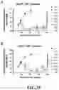 Fig. 27 - Compositions and Methods for Treating Cancer with DuoCARs