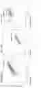 Fig. 08 - Gene-edited natural killer cells