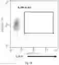 Fig. 09 - Gene-edited natural killer cells