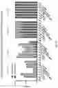 Fig. 21 - Gene-edited natural killer cells