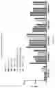 Fig. 22 - Gene-edited natural killer cells