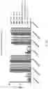 Fig. 23 - Gene-edited natural killer cells