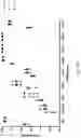 Fig. 40 - Gene-edited natural killer cells