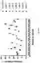 Fig. 41 - Gene-edited natural killer cells