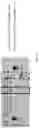 Fig. 51 - Gene-edited natural killer cells