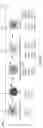 Fig. 52 - Gene-edited natural killer cells